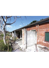 大華眷村已成廢墟，村旁的建國理髮店，徒留回憶。（圖片提供／劉先昌）之照片