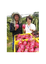 張克森（左）種的火龍果，獲選全國優質果品評鑑紅肉組季軍。（圖片提供／許素惠）之照片