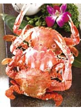 萬里的三點蟹、花蟹、石蟳，肉質鮮美，透過「萬里蟹」品牌成為饕客嘗鮮首選。（圖片提供／鄧博仁）之照片