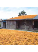 汪家古厝晒金針花，是造訪赤柯山的三景之一。（圖片提供／徐誌謙）之照片