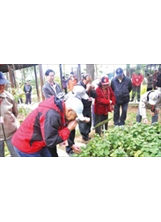 馬蘭榮民戶外知性之旅，參觀原生應用植物園區。（圖片提供／馬蘭榮家）之照片