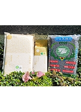 台東農場使用有機無毒的農法，培育出純淨優質的香米。之照片