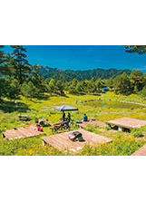 福壽山農場露營區推出優惠。（圖／福壽山農場）之照片