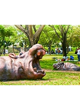 臺南都會公園是民眾假日休憩野餐的首選。之照片
