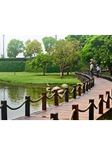 園區的環湖木棧道。之照片