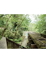 此林道鐵路為溫泉線鐵路，是山線鐵路的起點，至今已封閉，僅剩前段鐵道可供觀賞。之照片