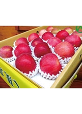 現在正值武陵蜜蘋果的產季。之照片