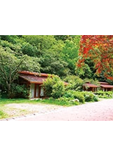 武陵農場國民賓館的楓林度假小屋。之照片