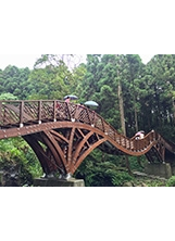 由國立臺灣大學土木工程系學生設計建造的銀杏橋。之照片