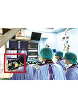 醫師團隊運用３Ｄ立體影像精準定位（紅框處），進行冷凝燒灼手術。（圖／中榮）之照片