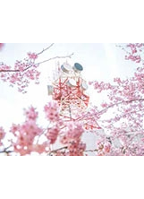 千櫻園中有神似「東京鐵塔」的電信發射塔，為賞花增添了日式風情。之照片