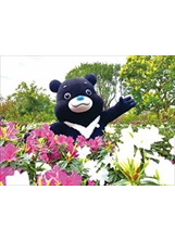 2021臺北杜鵑花季於大安森林公園設置熊讚主題花園。（圖／臺北市政府觀傳局）之照片