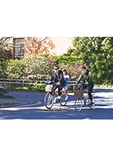 騎單車賞花，臺大校園好風光。（圖／林建榮）之照片