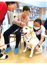 板橋榮家日照中心陳奶奶，經由團隊合作，為萌犬醫師梳理毛髮，獲得心靈療癒。（圖／板橋榮家）之照片