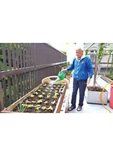 板橋榮家祥和堂的開心農場，榮民爺爺澆水培育蔬菜。（圖／板橋榮家）之照片