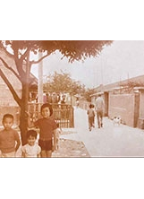 陸光二村周畯豊家門口，有一棵他和姊妹都喜歡的大榕樹。（圖／周畯豊）之照片