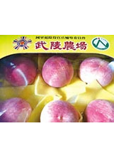 武陵農場生產的水蜜桃，擁有標籤號碼，且個個圓潤飽滿，香甜可口，令人垂涎。（圖／武陵農場）之照片