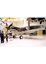 民國105年9月，佛羅里達海軍航空博物館飛虎年會展示鯊魚嘴塗裝的P-40戰鬥機。（圖／許劍虹）之照片