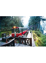 阿里山森林鐵路。之照片