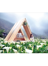 陽明山海芋田中的人氣打卡景點，讓遊客拍出夢幻美照。之照片