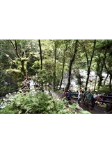 內洞國家森林遊樂區步道平緩，可近距離觀賞瀑布，吸引許多民眾到此健行。（圖／林建榮）之照片