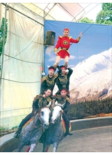 「五人雙馬疊羅漢」表演中，騎士的矯健身手及團隊合作，令人讚佩。（圖／清境農場）之照片