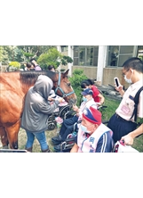 岡山榮家住民前往橋頭馬術中心，與馬兒們近距離互動，療癒身心。（圖／岡山榮家）之照片