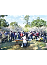 每年角板山梅花季，風景區管理處皆會舉辦賞梅活動。（圖／桃園市政府風景區管理處）之照片