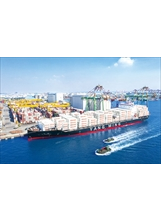 陽明海運為國內三大海運公司之一，也躋身全球貨櫃航運公司前十強。（圖／陽明海運）之照片