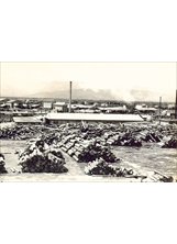 昔日木工廠占地廣闊，業務量龐大，對國家經濟有重大貢獻。（圖／森保處）之照片