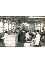 員工在木材加工廠趕製各類型課桌椅，這些課桌椅是許多國人求學期間的共同回憶。（圖／森保處）之照片