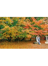 「松廬楓紅」美景，融入一片日式庭園之中。（圖／福壽山農場）之照片