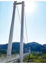 「中庄吊橋」總長四百多公尺，是全臺知名的懸索式吊橋。（圖／劉俊輝）之照片
