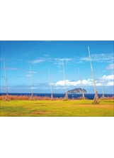 飛天掃帚地景是潮境公園中最負盛名的裝置藝術。（圖／本刊編輯部）之照片