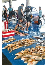 每天魚市場裡新鮮的漁獲，提供居民與遊客餐桌上的海鮮美食。（圖／林建榮）之照片
