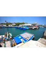 富岡漁港是到臺東外海垂釣和賞鯨的出海港，也是想吃新鮮便宜海產的遊客必到之地。（圖片提供／東部海岸國家風景區管理處）之照片